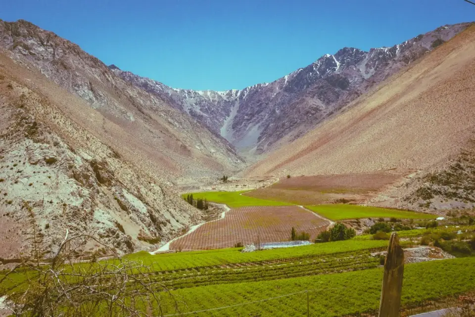 Parronales verdes en el fondo de un valle angosto entre cerros áridos, con cordillera nevada al fondo